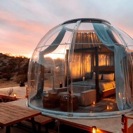 Jthavn-Joshua Tree Remote Dessert Bubble Dome Экстерьер фото