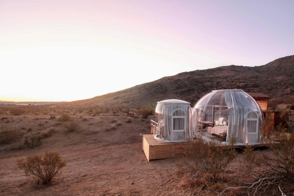 Jthavn-Joshua Tree Remote Dessert Bubble Dome Экстерьер фото