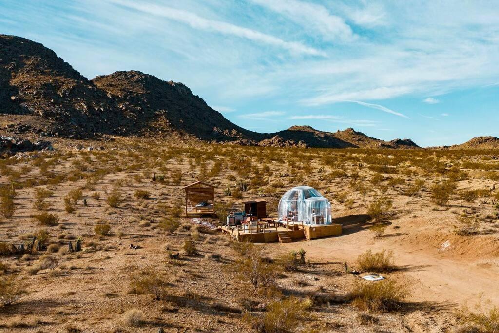 Jthavn-Joshua Tree Remote Dessert Bubble Dome Экстерьер фото